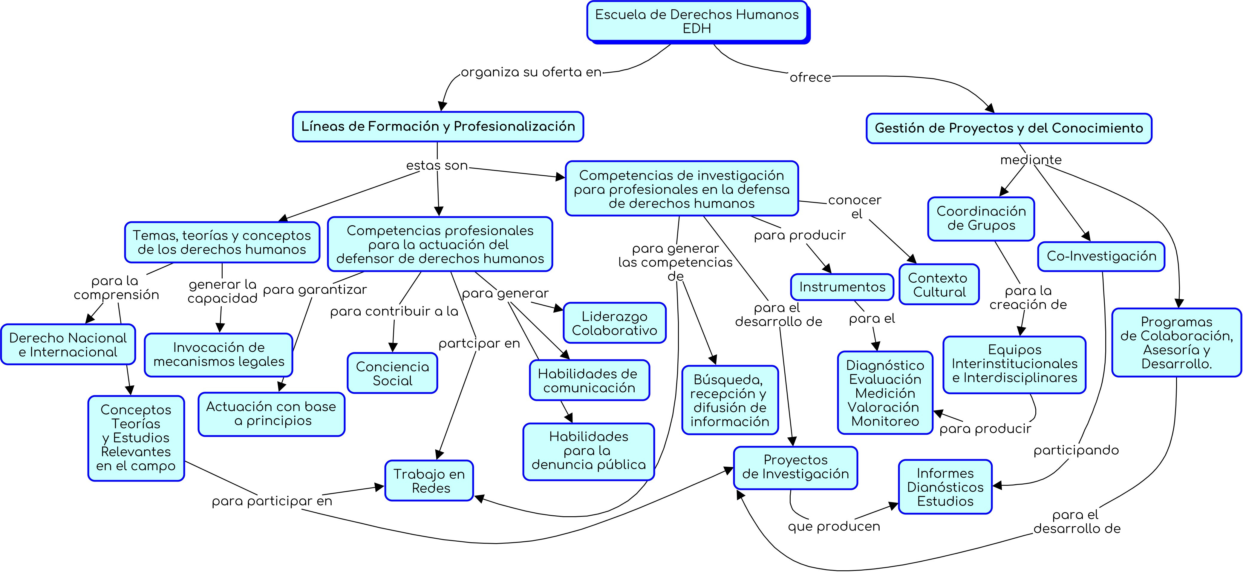Mapa conceptual que muestra las líneas de formación y otras acciones de consultoría y colaboración de la EDH